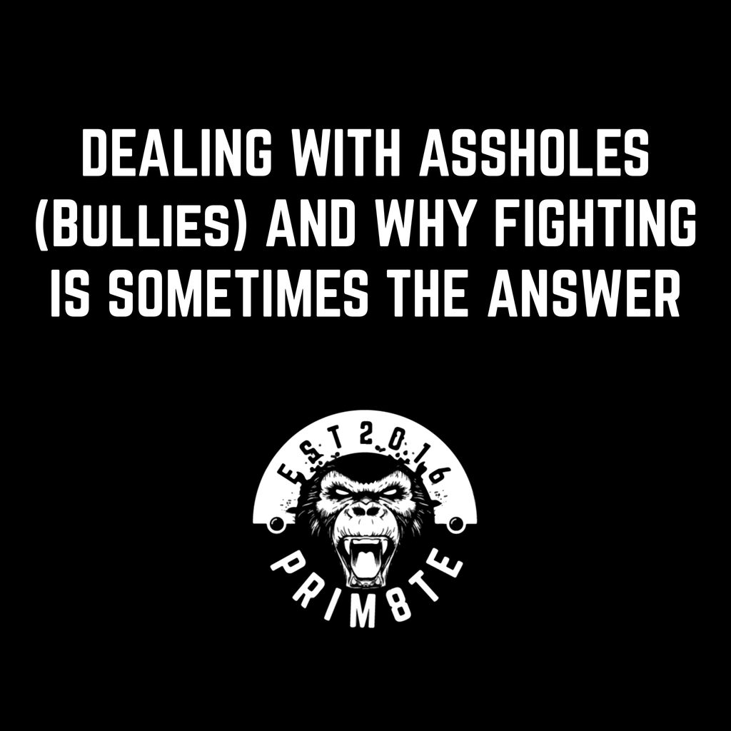 Dealing with Assholes (Bullies) and Why Fighting is Sometimes the Answer